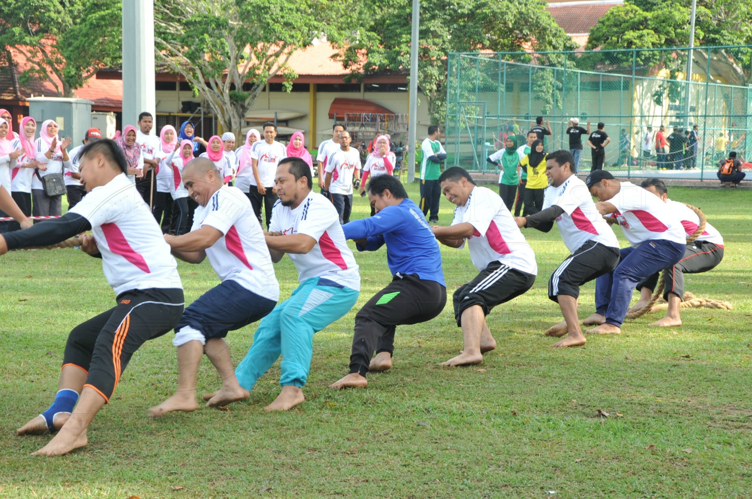 PRO 15 53 KIESTA HAS 5519